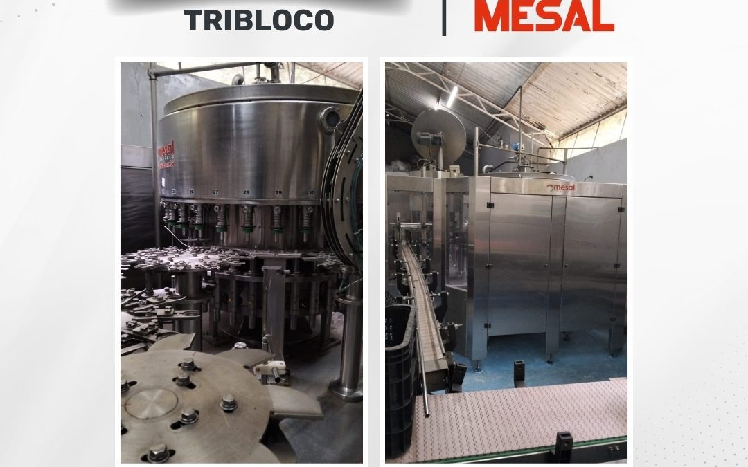Envasadora Tribloco Mesal